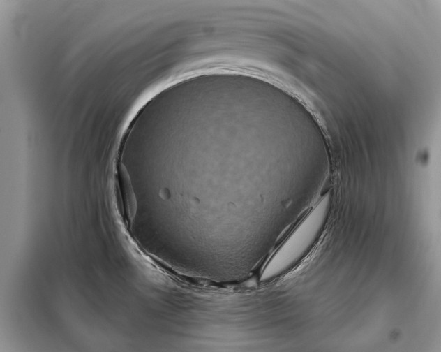 X0000097951530200804070952