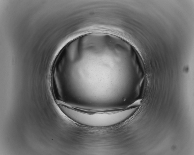 X0000097951531200804070952