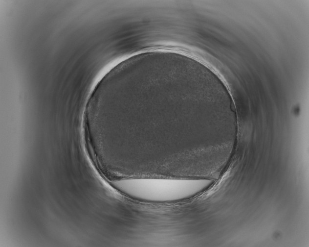 X0000097951533200804070952