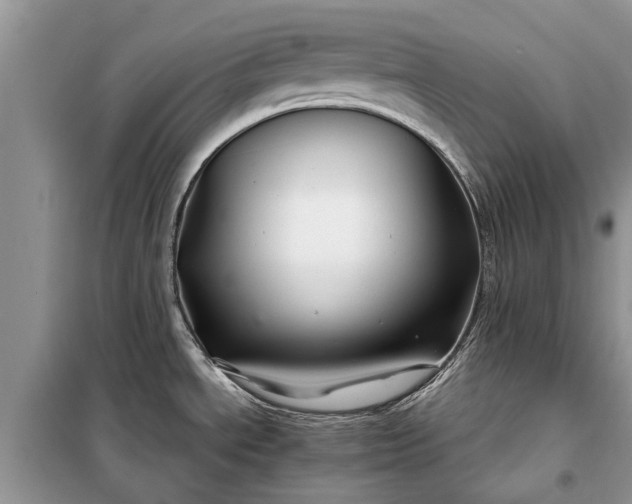 X0000097951534200804070952