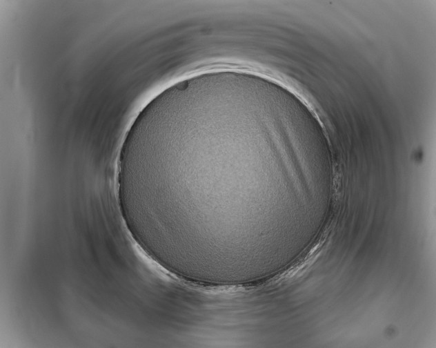 X0000097951535200804070952