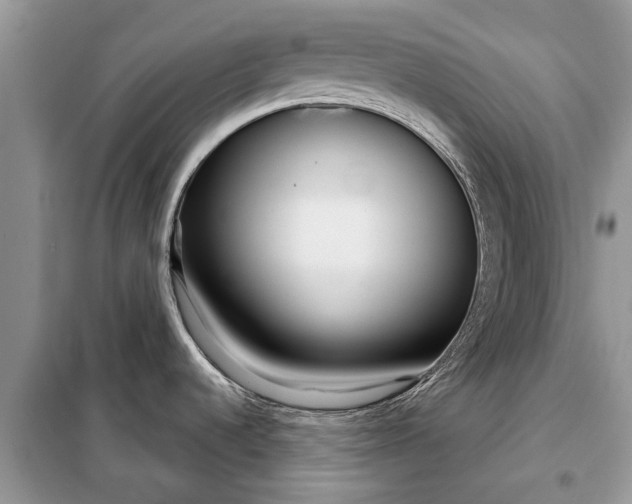 X0000097951536200804070952