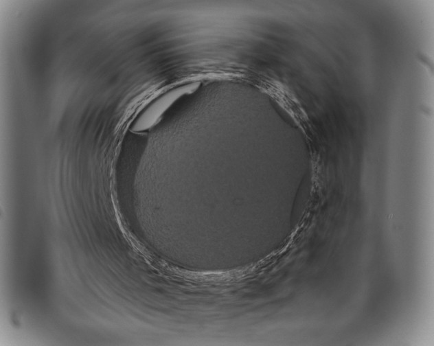 X0000097950001200804141015