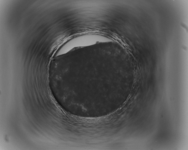 X0000097950002200804141015