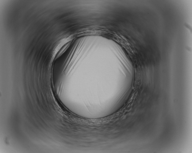 X0000097950003200804141015