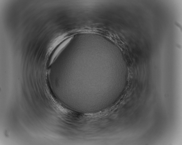 X0000097950005200804141015