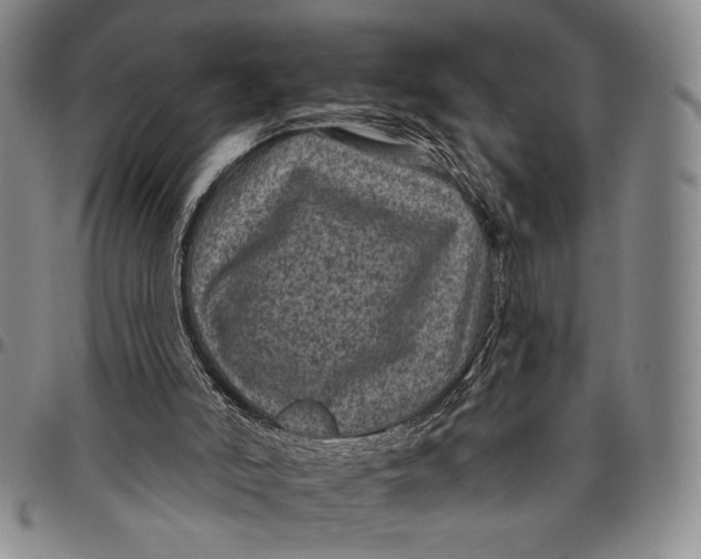X0000097950006200804141015
