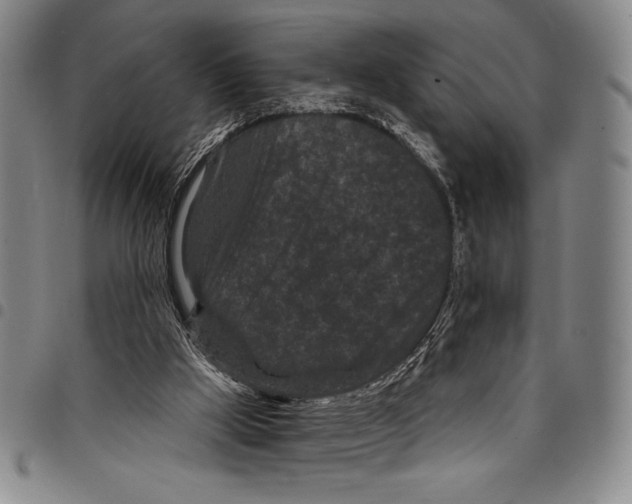 X0000097950009200804141015
