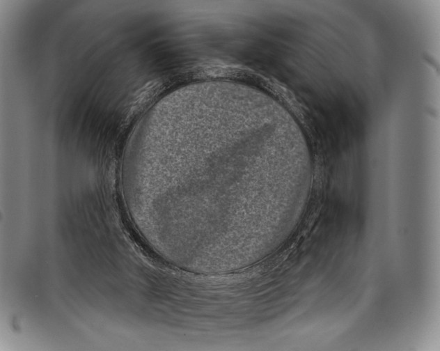 X0000097950010200804141015