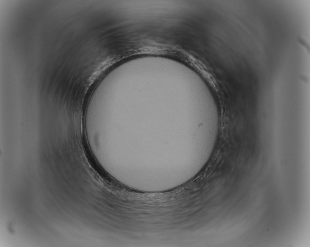 X0000097950011200804141015