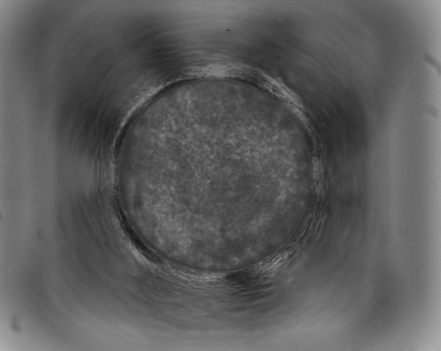 X0000097950012200804141015