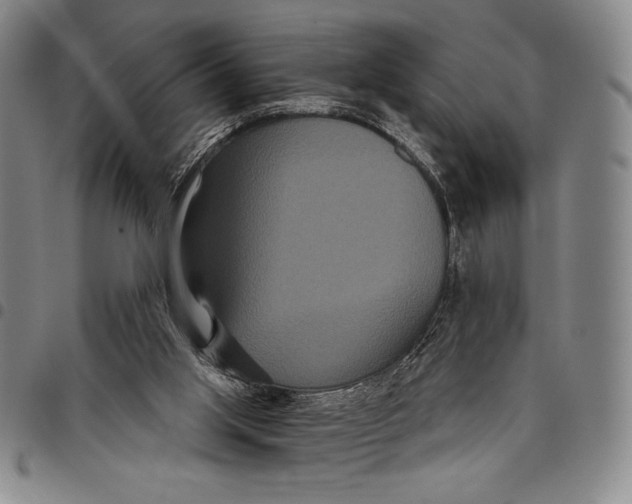X0000097950013200804141015