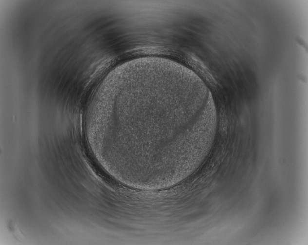 X0000097950014200804141015