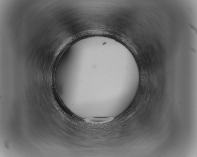 X0000097950015200804141015