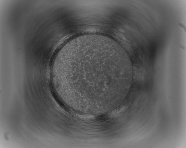 X0000097950016200804141015