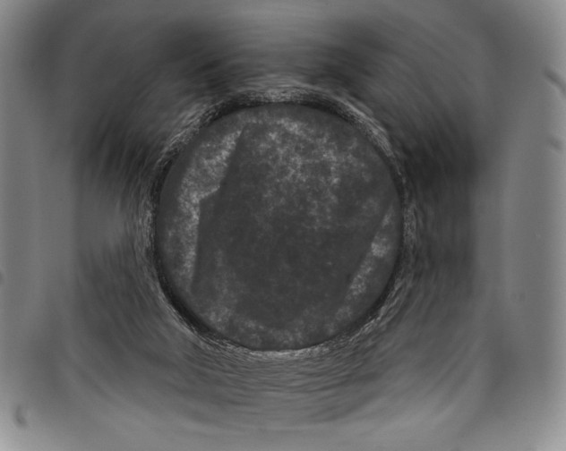 X0000097950018200804141015