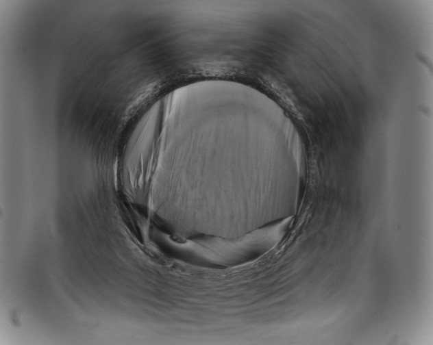X0000097950019200804141015