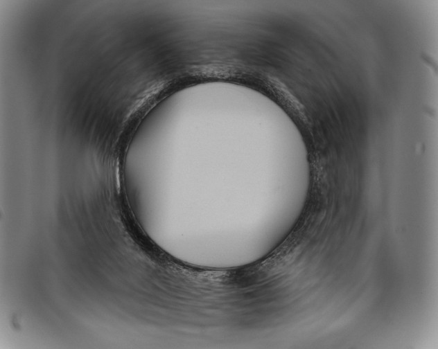 X0000097950020200804141015