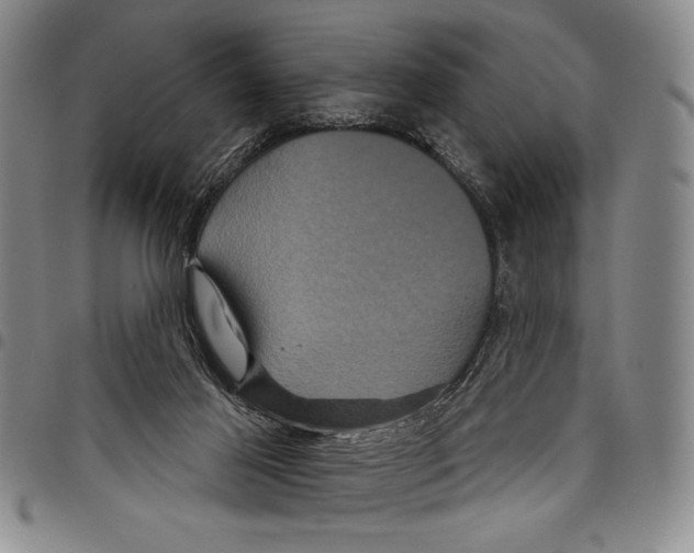 X0000097950021200804141015