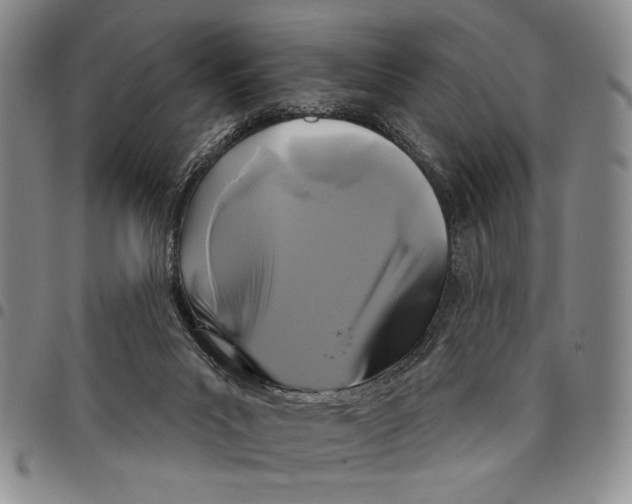 X0000097950023200804141015