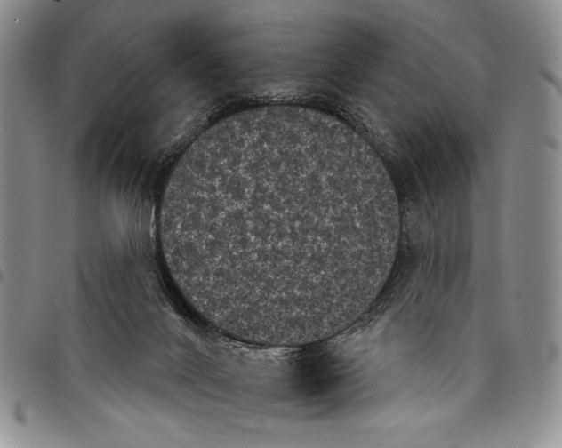 X0000097950024200804141015