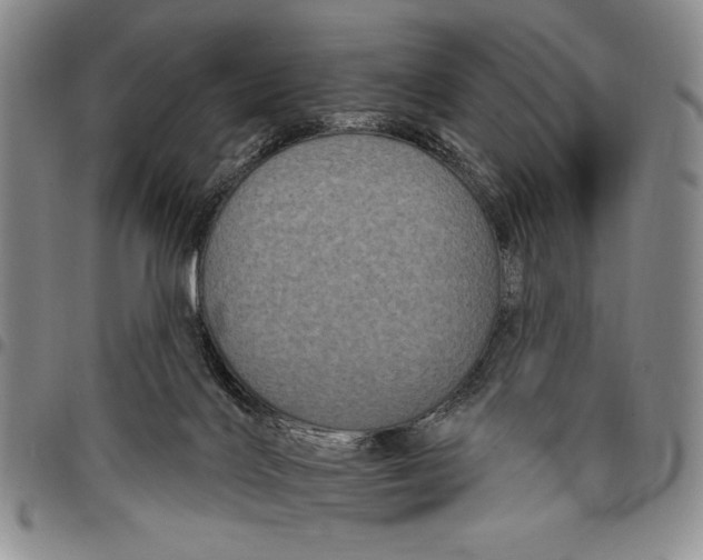 X0000097950028200804141014