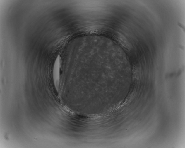 X0000097950029200804141014