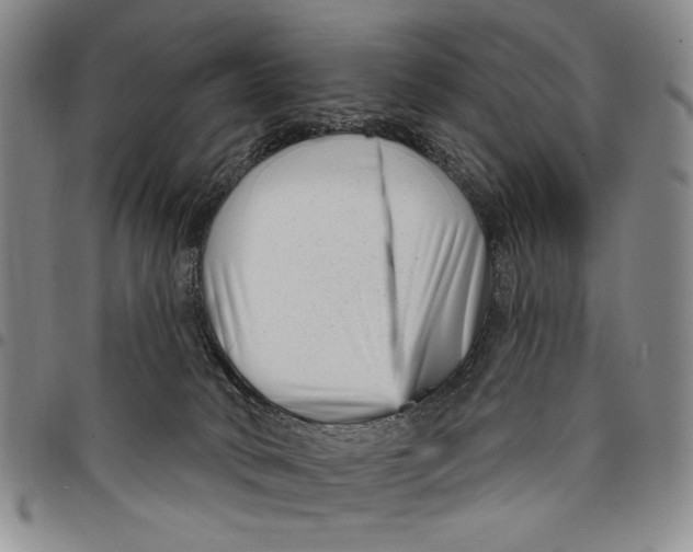 X0000097950034200804141014