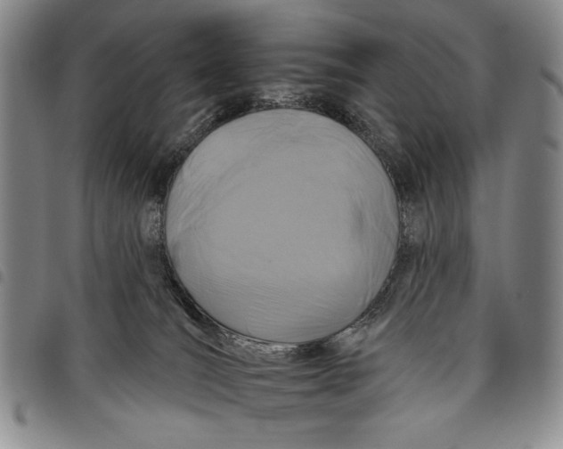 X0000097950036200804141014