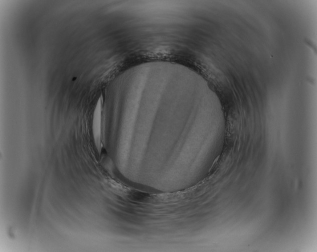 X0000097950037200804141014