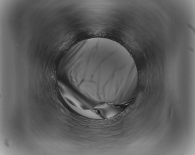 X0000097950039200804141014