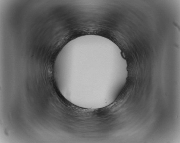 X0000097950040200804141014
