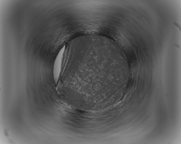 X0000097950041200804141014