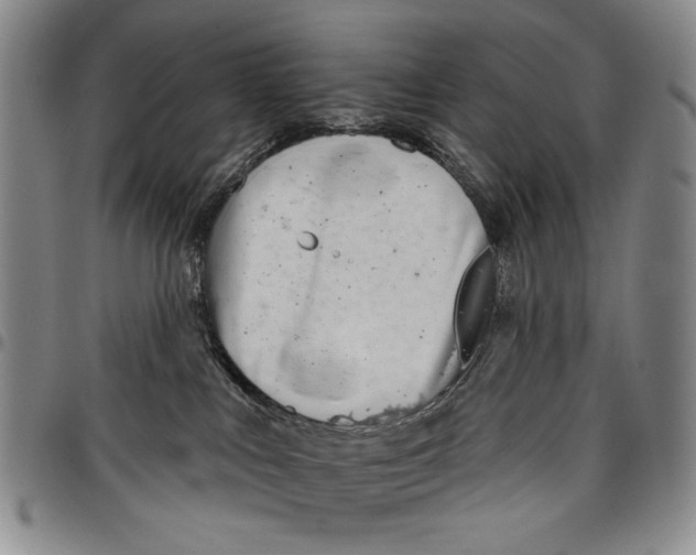 X0000097950043200804141014