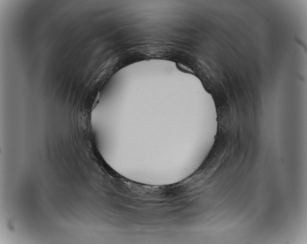 X0000097950044200804141014