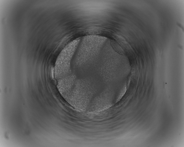 X0000097950046200804141014