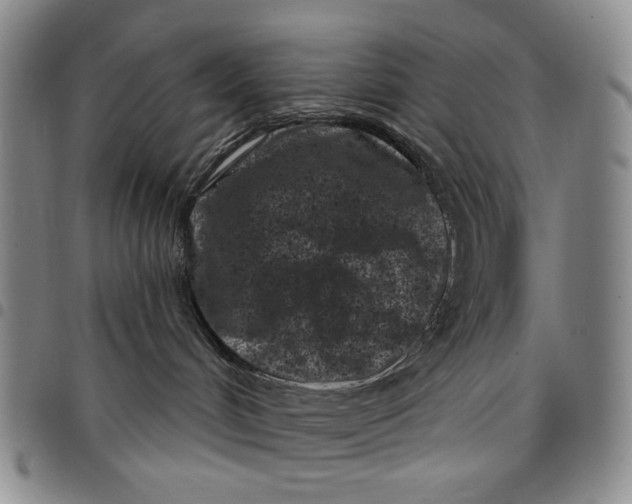 X0000097950048200804141014