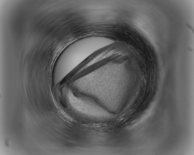 X0000097950049200804141014