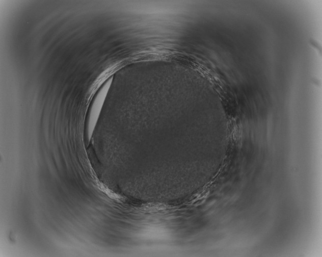 X0000097950051200804141014