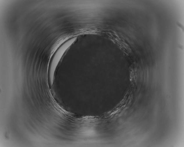 X0000097950052200804141014