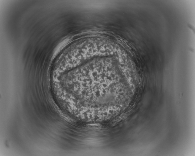 X0000097950053200804141014
