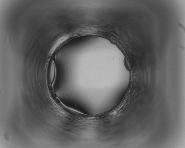 X0000097950054200804141014
