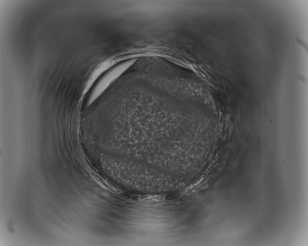 X0000097950056200804141014
