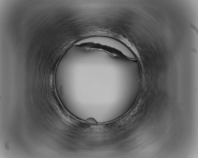 X0000097950057200804141014