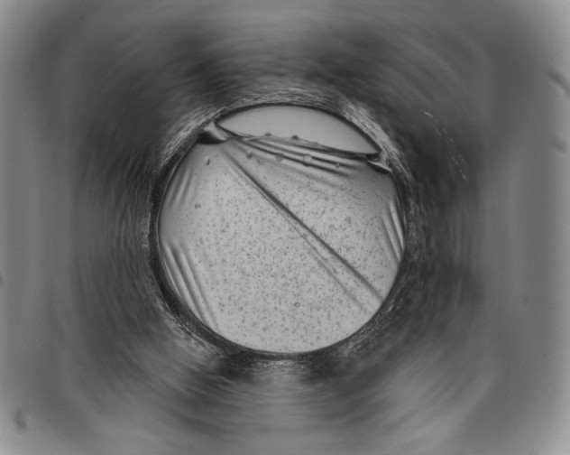 X0000097950058200804141014