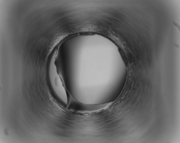 X0000097950060200804141014