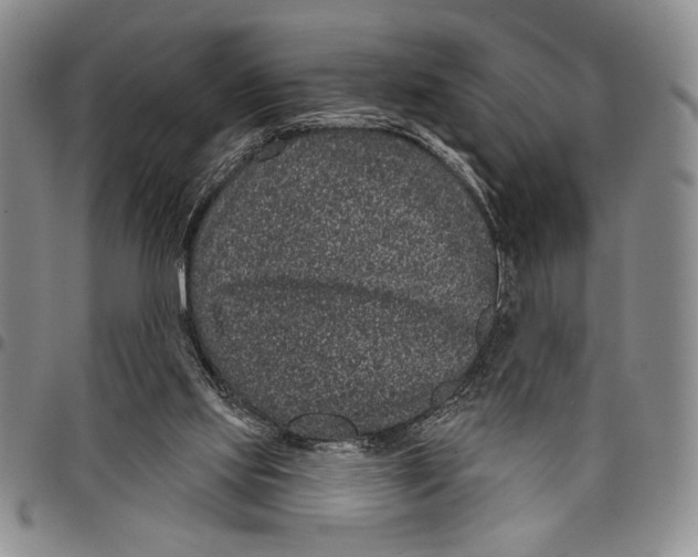 X0000097950061200804141014