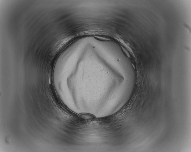 X0000097950062200804141014