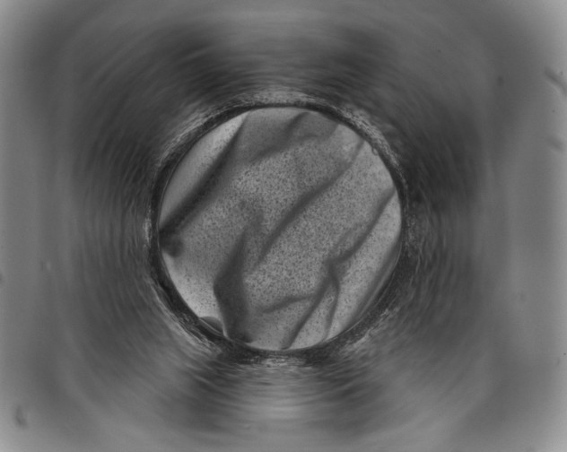 X0000097950063200804141014