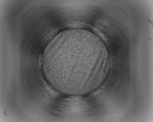 X0000097950065200804141014